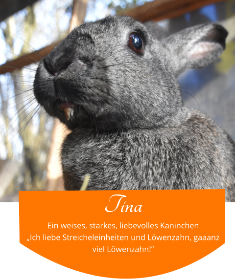Tina Ein weises, starkes, liebevolles Kaninchen „Ich liebe Streicheleinheiten und Löwenzahn, gaaanz viel Löwenzahn!“